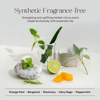 Plastic-Free Waterless Fragrance-Free Conditioner Concentrate, Vegan – Everist
