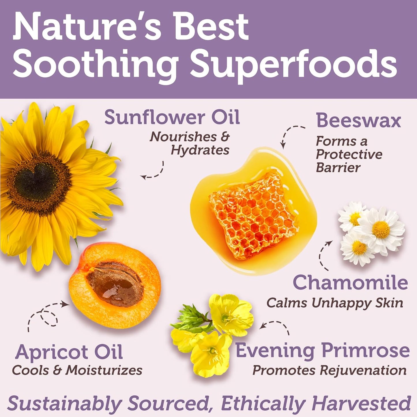 USDA Organic Lanolin-Free Nipple Butter for Breastfeeding