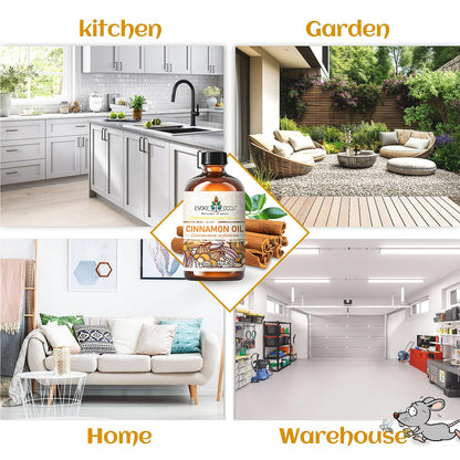 EVOKE OCCU 100% Pure Clary Sage Essential Oil: 4oz Value Size