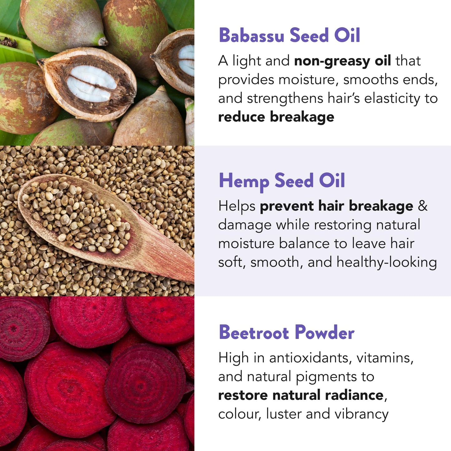 Ethique "Curliosity" Shea Butter Conditioner Bar: Plastic-Free