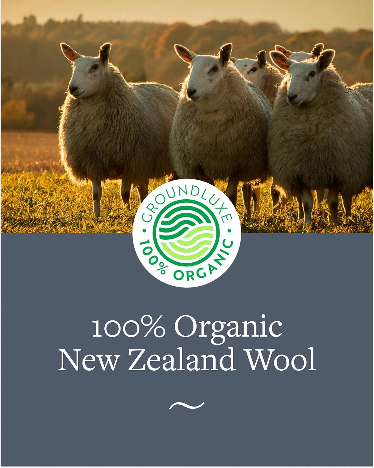 GroundLuxe 100% Organic New Zealand Wool Dryer Balls (Set of 6), Chemical-Free Fabric Softening