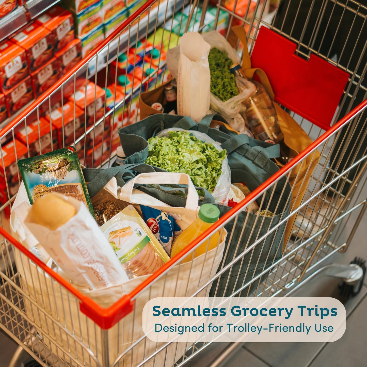 Nook Theory 3-Pack Reusable Cotton Canvas Grocery Bags (12 oz)