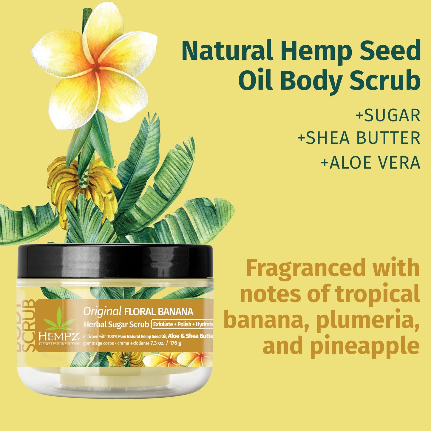 Fragrance-Free Sugar Body Scrub with Hemp Seed Oil – HEMPZ