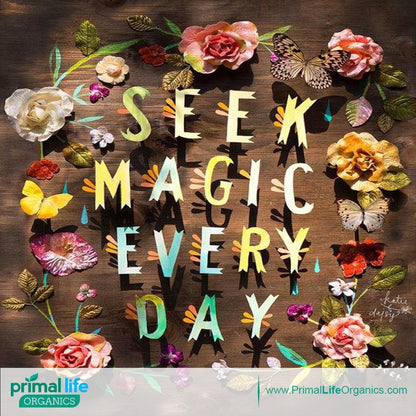 Primal Life Organics: Powdered Mineral Toothpaste, Fluoride - Free, Perfect For All Ages - The Tribalist