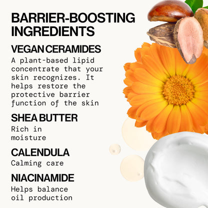 Fragrance-Free Vegan Ceramide Barrier Cream – Pacifica