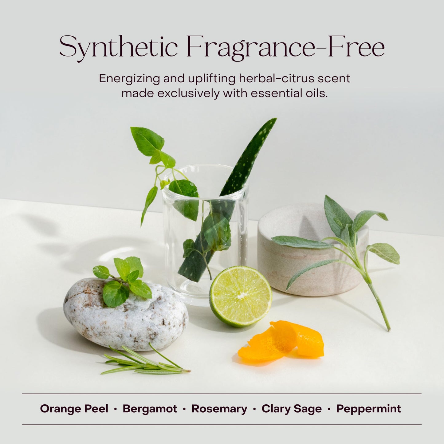Plastic-Free Waterless Fragrance-Free Shampoo Concentrate, Vegan – Everist