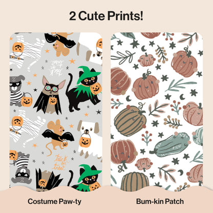 The Honest Company Comfort Dry Diapers: TCF Plant-Based Protection