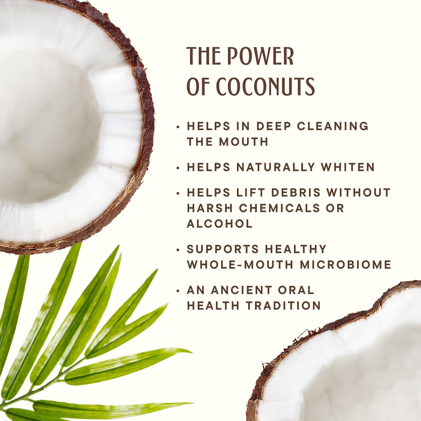Alcohol-Free Coconut Oil Pulling Mouthwash, Fluoride-Free – Dr. Ginger's