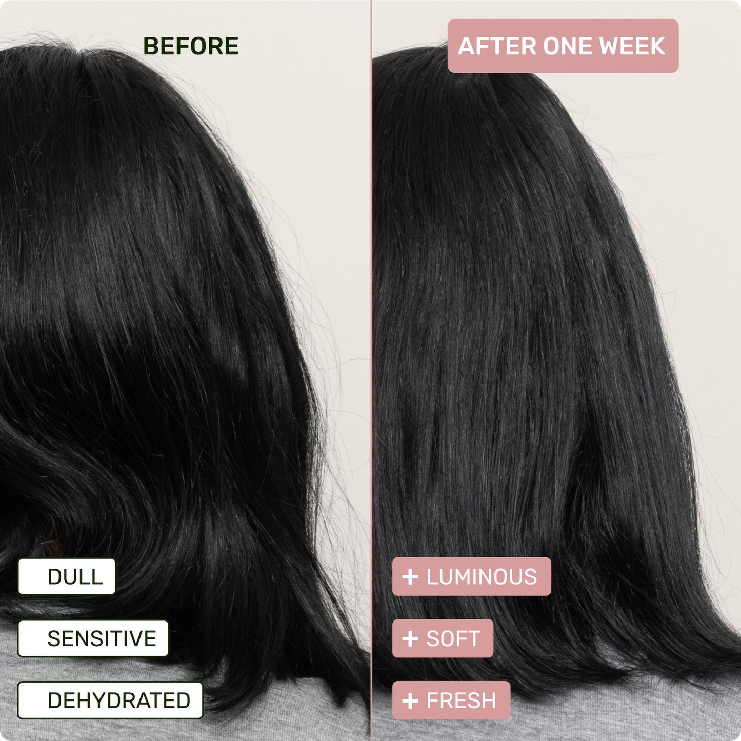 Ethique "Curliosity" Shea Butter Conditioner Bar: Plastic-Free