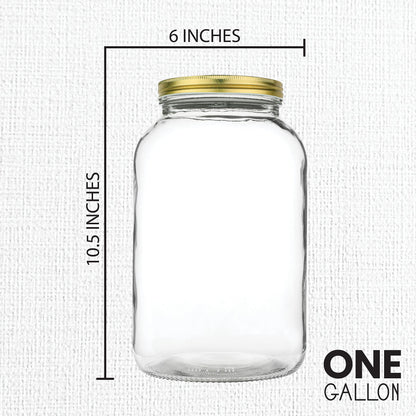Kitchentoolz 1-Gallon Glass Mason Jars with Airtight Metal Lids (2-Pack)