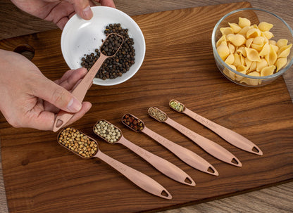 13-Piece 18/8 Stainless Steel Measuring Set with Ergonomic Handles