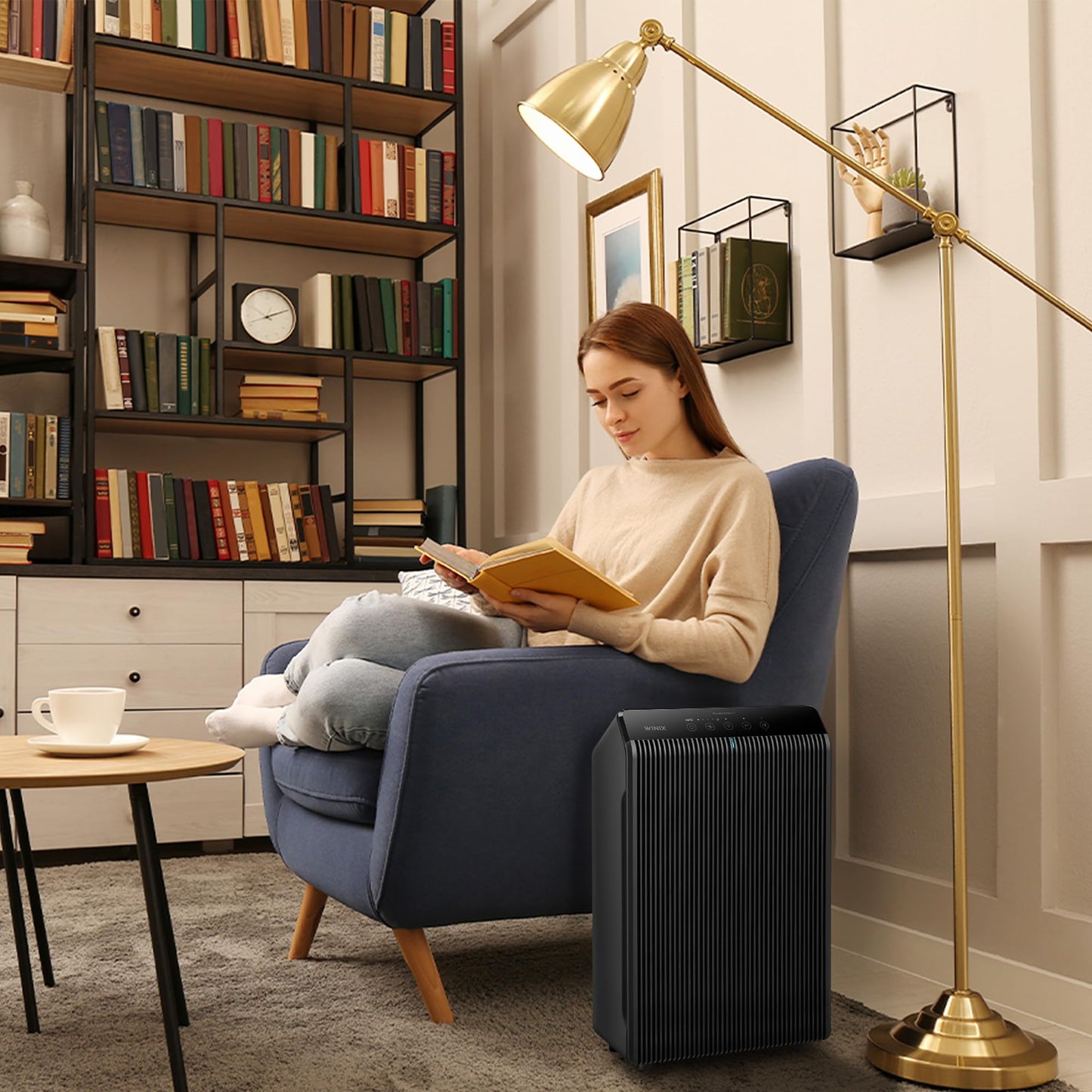 WINIX 5500-2: True HEPA Purifier with Washable Carbon Filter for Odor & VOC Reduction