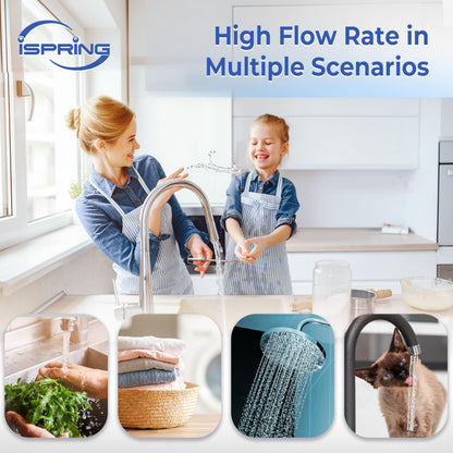 Whole-House PFAS Reduction Water Filter, 10-Year – iSpring WF150K-PF