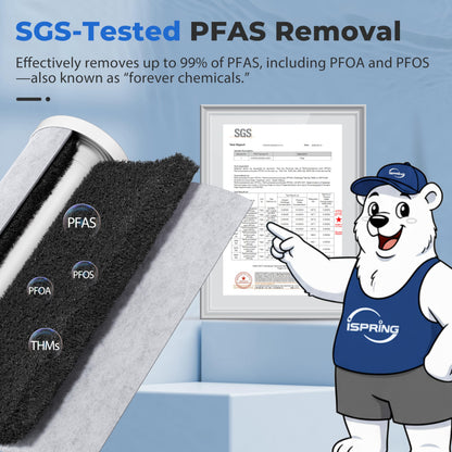 Whole-House PFAS & Scale Water Filter, 3-Stage – iSpring WGB32B-PFKDS