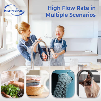 Whole-House PFAS Reduction Water Filter, 10-Year – iSpring WF150K-PF