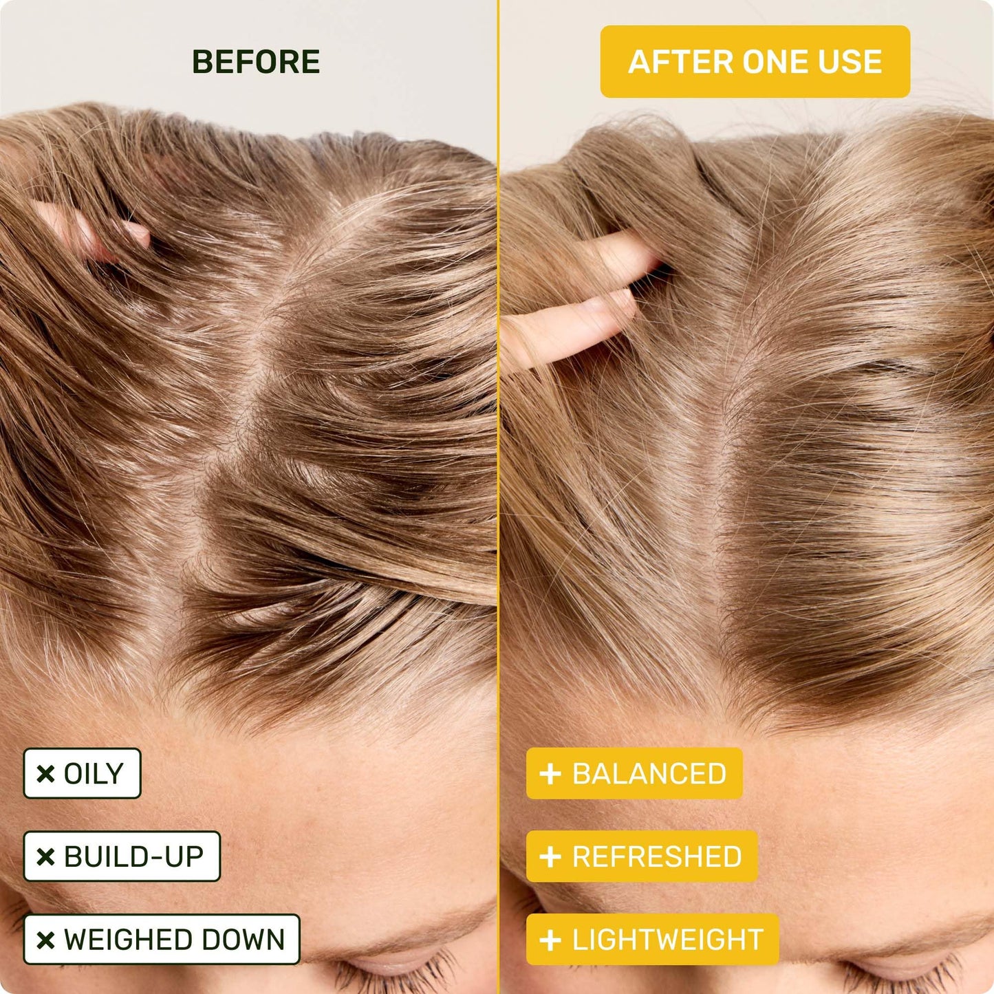 Ethique "Professor Curl" Shea Butter Shampoo Bar: Plastic-Free