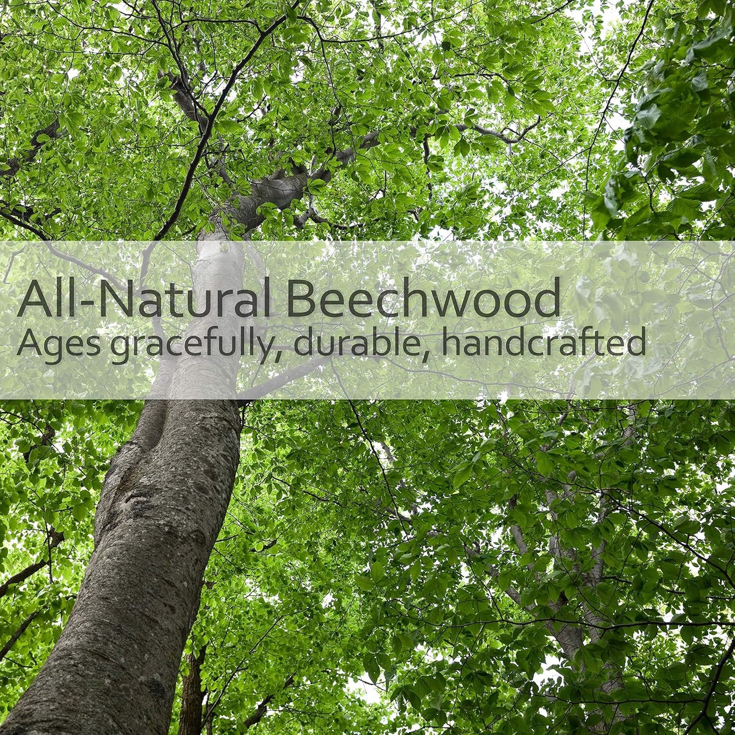 REDECKER Horsehair Bottle Brush: Sustainable Beechwood Handle