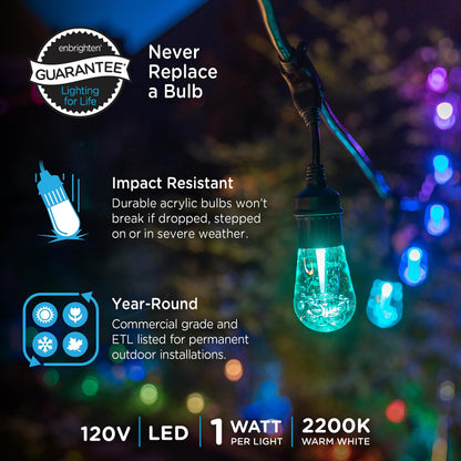 Enbrighten Lifetime LED String Lights: 48ft, Impact-Resistant Acrylic Bulbs, 80% Energy Savings