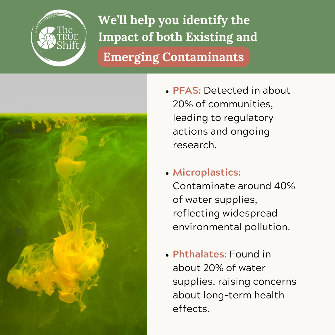 Water Filtration | 40 Minute Consultation