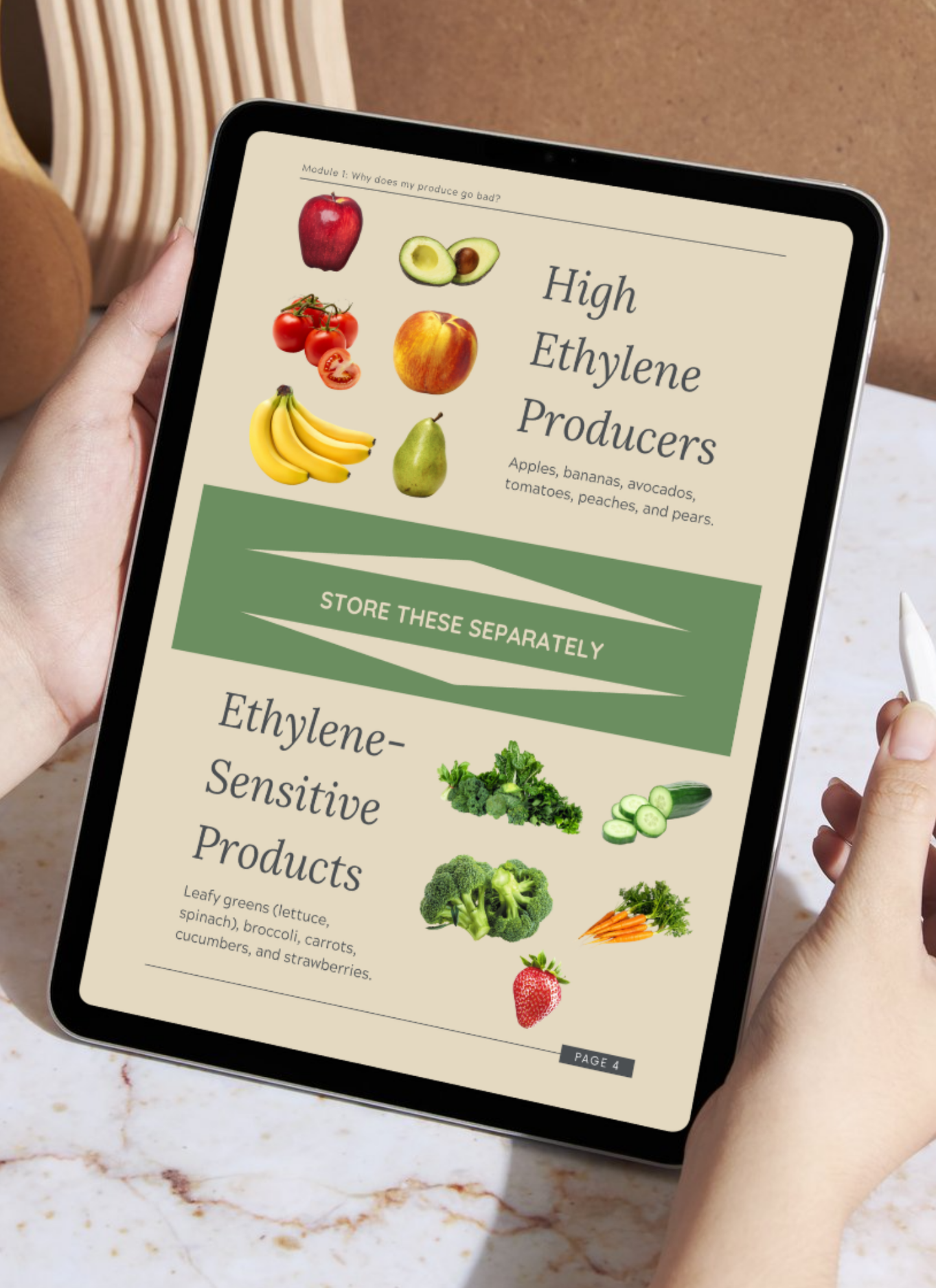 Produce Organization Guidebook