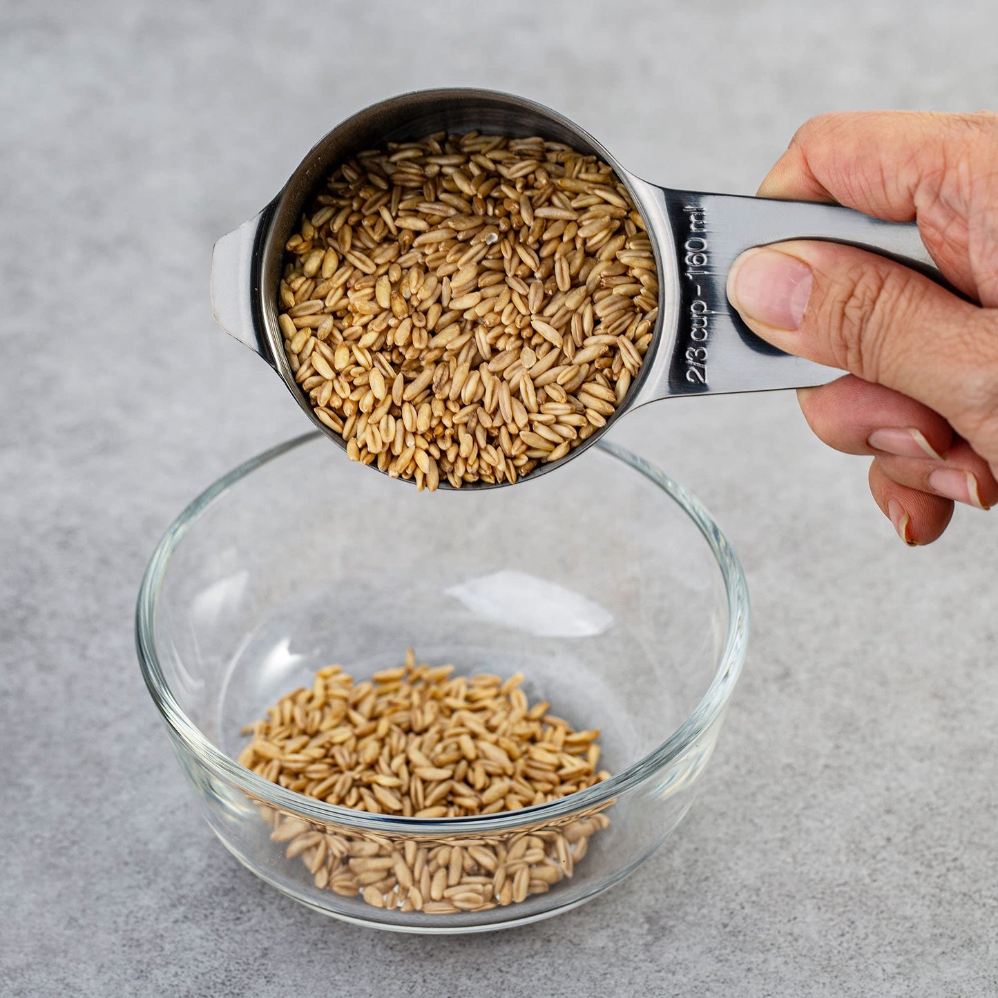 ALLWIN - HOUSEWARE: 13 - piece Measuring Cups and Spoons Set, 18/8 Stainless Steel, with Ring Connector - The Tribalist