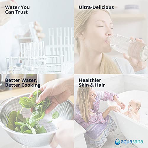 The Tribalist - Aquasana: EQ-1000-AST-UV Whole House Water Filter System