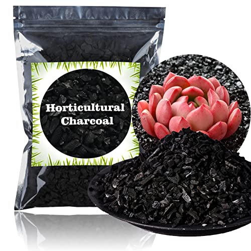 The Tribalist - Doter: Horticultural Charcoal, air plants, Amazon, bonsai