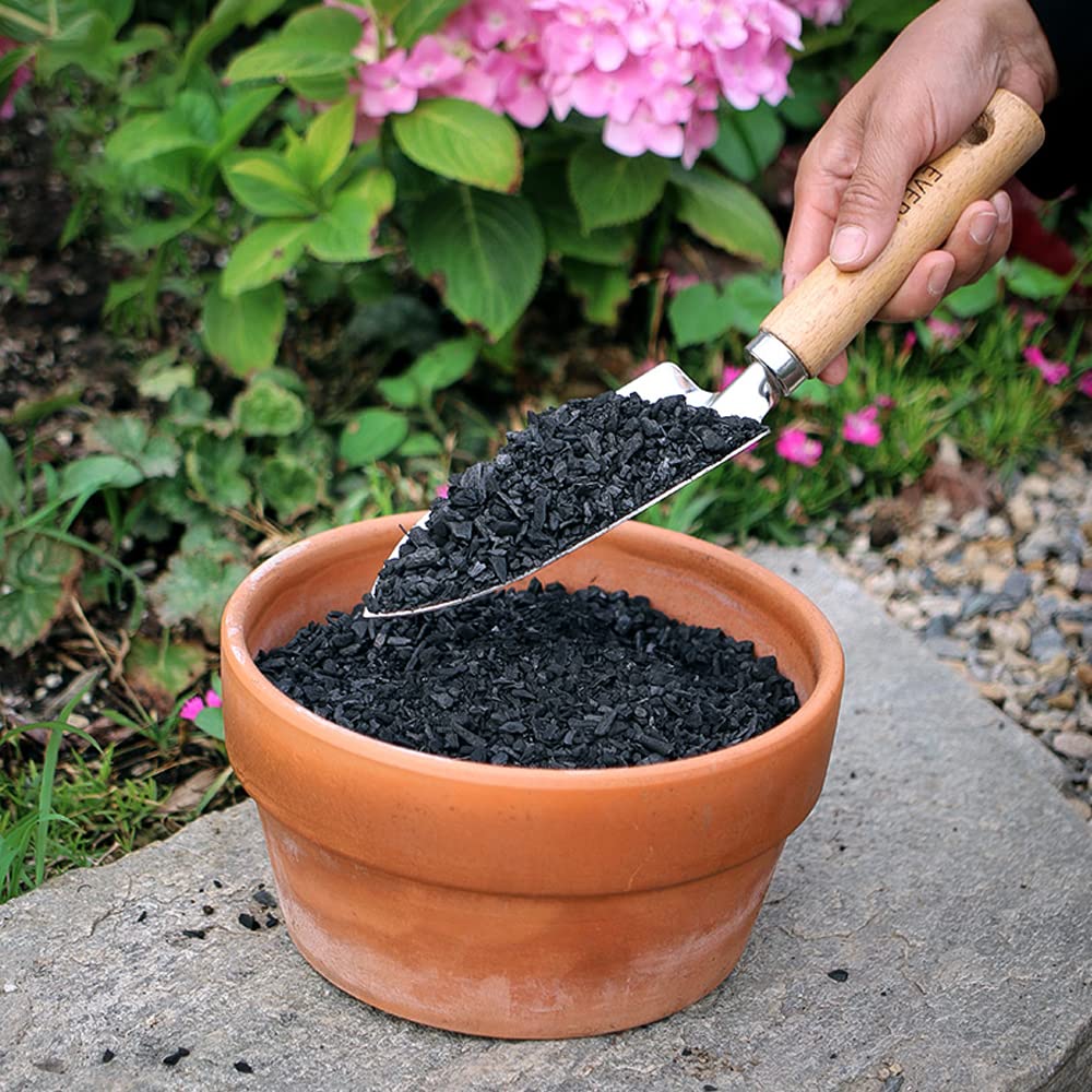 The Tribalist - Doter: Horticultural Charcoal, air plants, Amazon, bonsai,