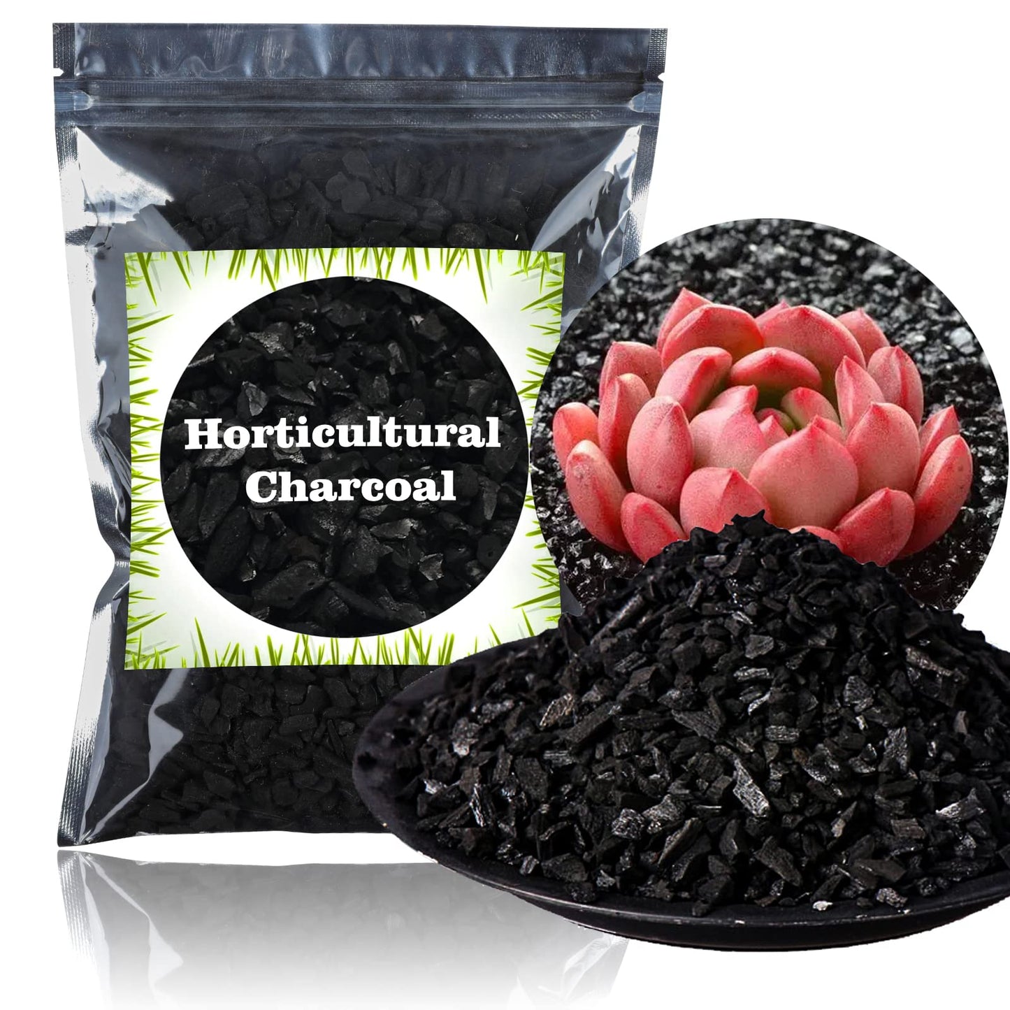 The Tribalist - Doter: Horticultural Charcoal, air plants, Amazon, bonsai,