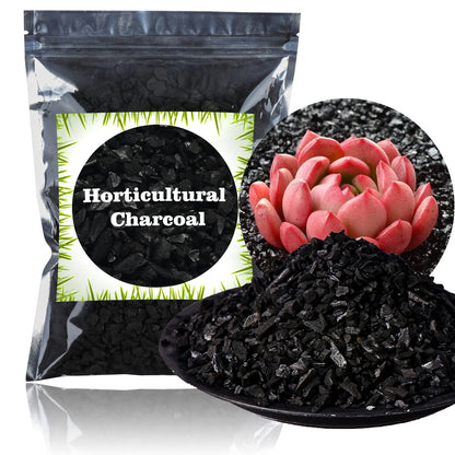 The Tribalist - Doter: Horticultural Charcoal, air plants, Amazon, bonsai,